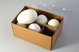  Vajcia pravé  husacie 6ks  v balení