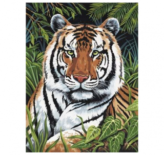 Maľovanie podľa čísel, Tiger v tráve, šeps. lepenka,22x30cm